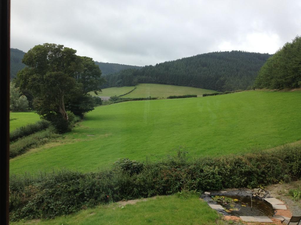 Bed and Breakfast Laurel Bank Abbey-Cwmhir Екстер'єр фото